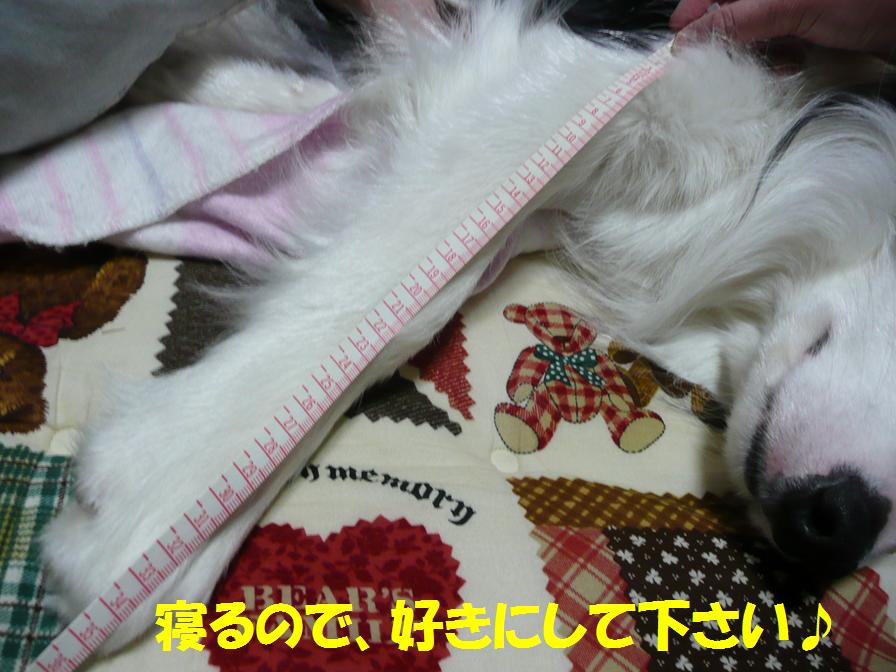c0147241_0124897.jpg