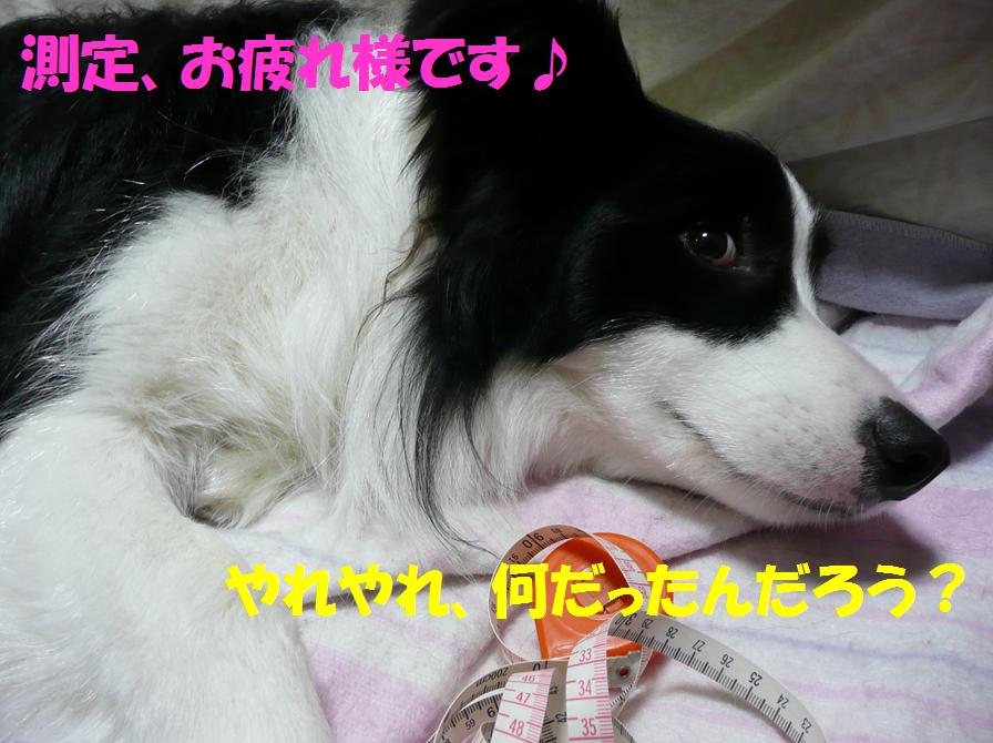 c0147241_0125422.jpg