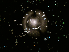 e0005548_23173143.gif