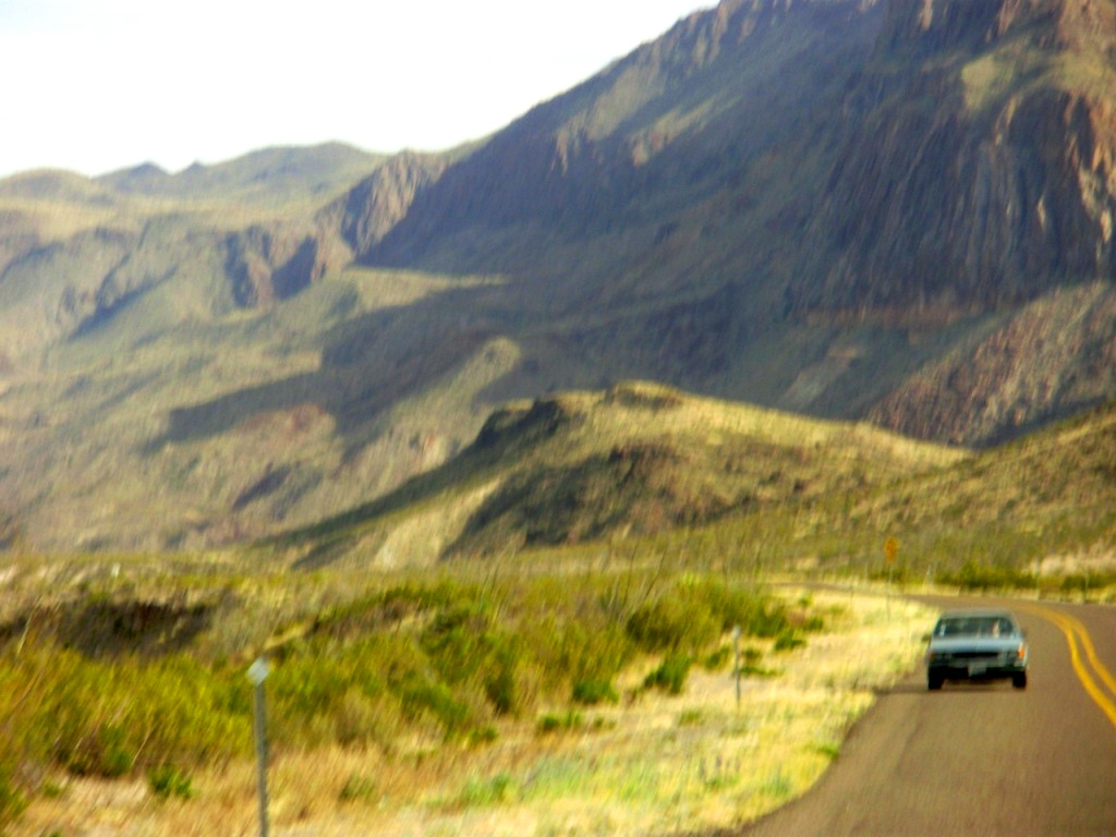c0094654_882775.jpg