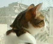 c0052756_1520465.jpg