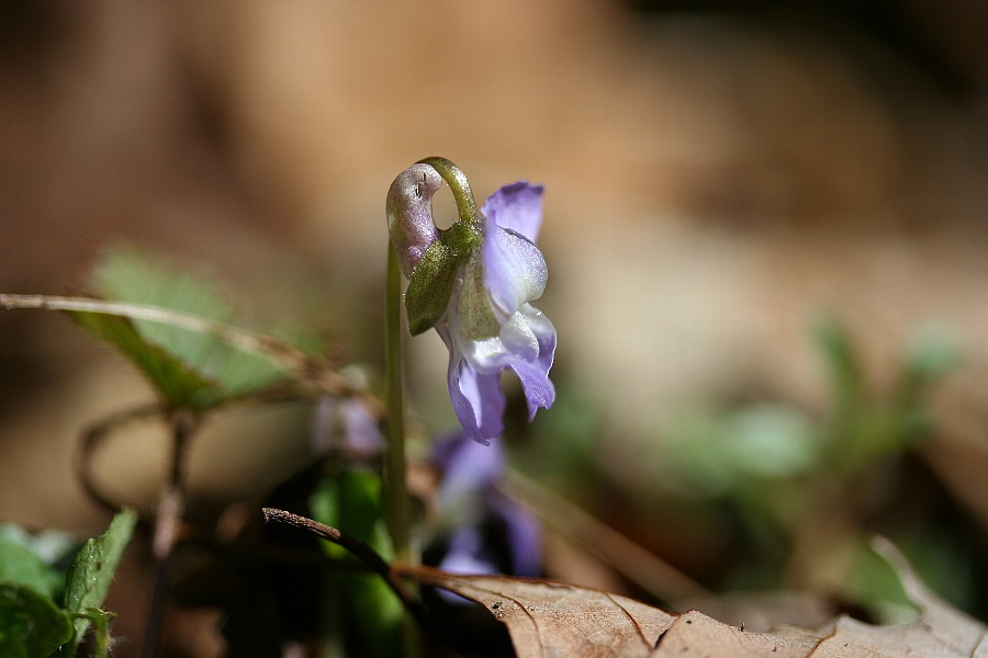 b0084270_16334.jpg