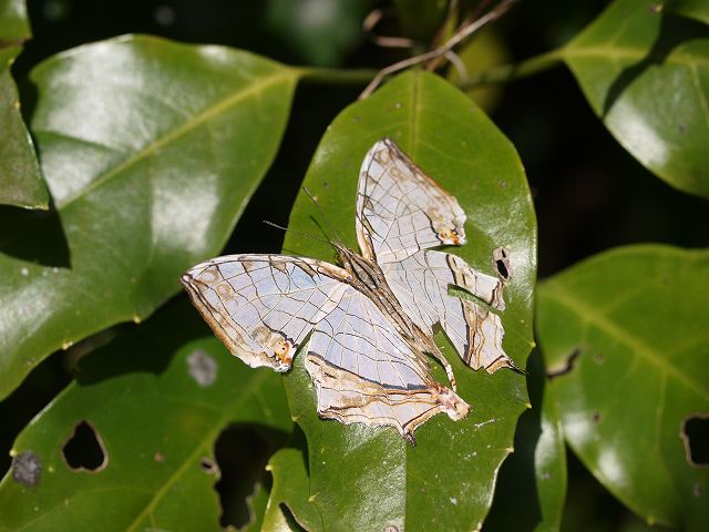 b0135573_2252812.jpg