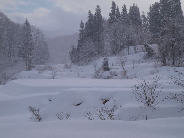 a0025576_19302366.jpg