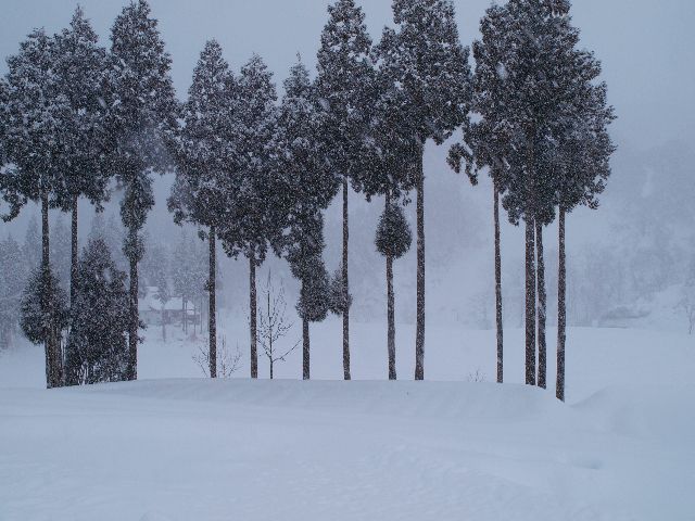 a0025576_1932597.jpg