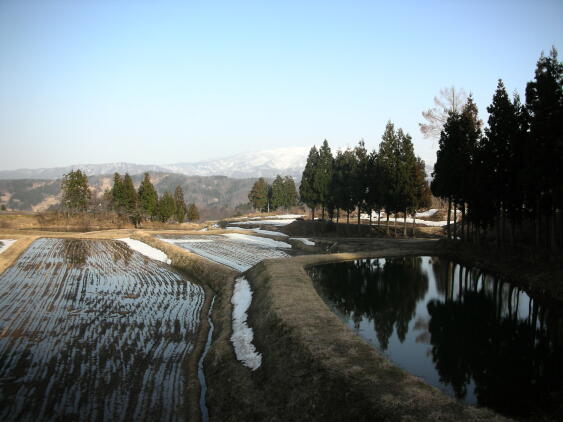 栃尾の山奥にて_c0141882_0313930.jpg