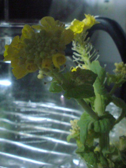 c0182782_13101151.jpg