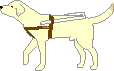 b0136683_163924100.gif