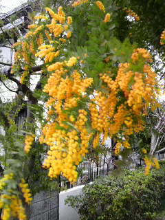 c0124790_20154473.jpg