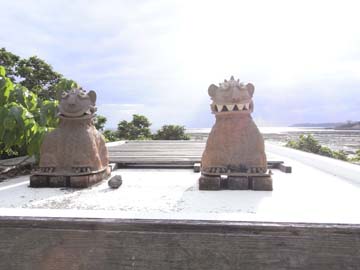 美ら写真(シーサー) その2_c0108695_155403.jpg