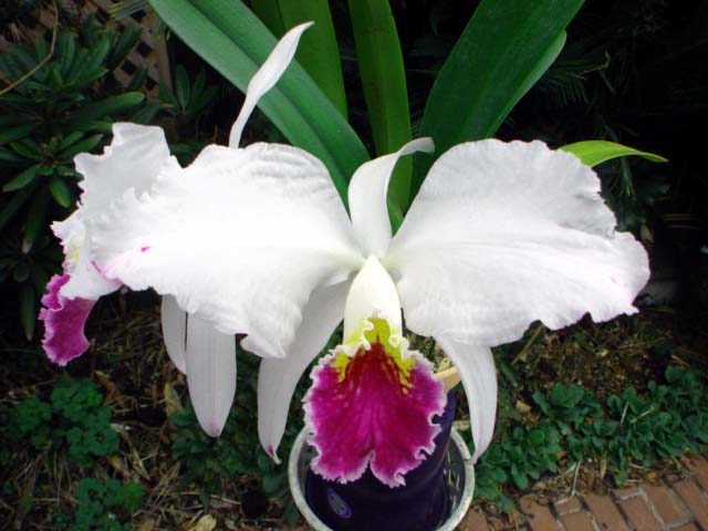 d0007501_12244051.jpg