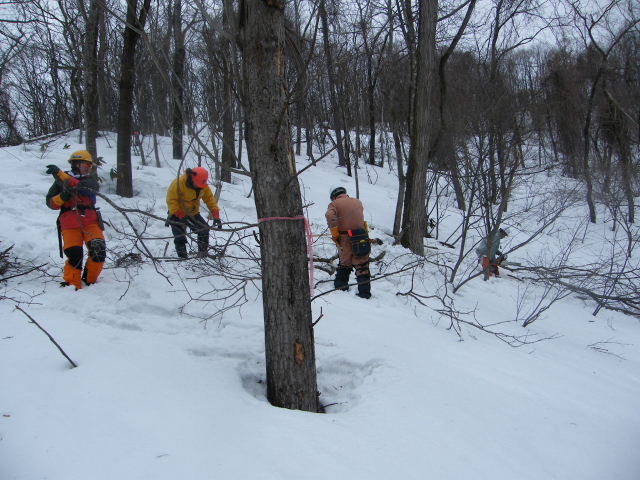c0173813_8474533.jpg