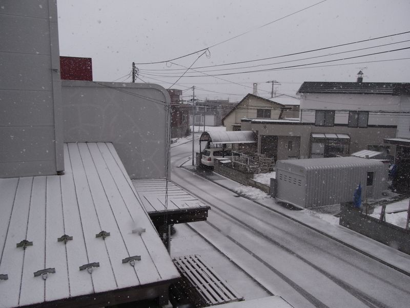 春分の日 【午後の雪】_c0025115_1527386.jpg