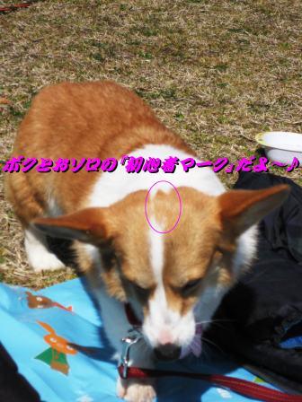 初めまして~♪_f0155118_8312512.jpg