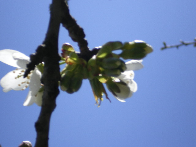 c0124619_1431453.jpg