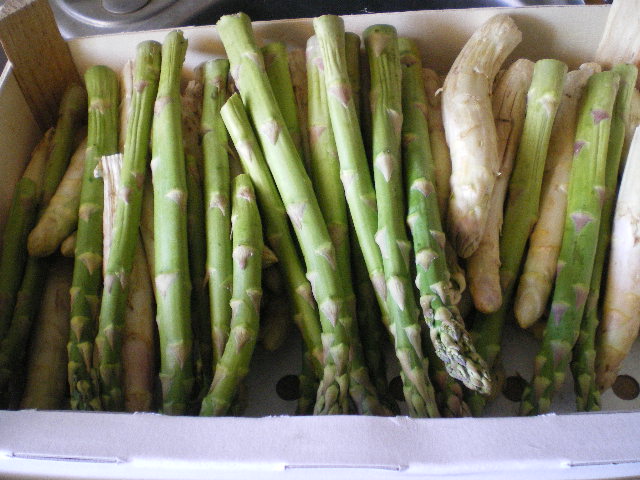 c0124619_22558.jpg