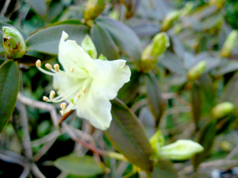 c0038424_2217820.jpg