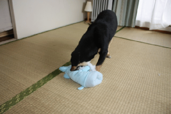 e0162524_2123040.gif