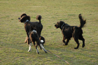 c0186528_09377.jpg