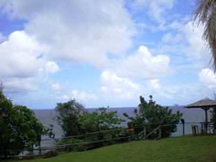 a0085632_191112.jpg