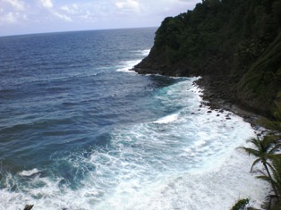 a0085632_192946.jpg