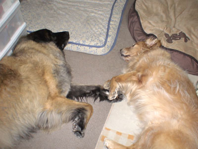 e0023643_032121.jpg