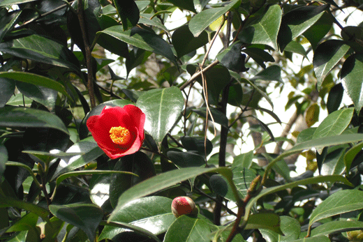 c0093046_23245028.gif