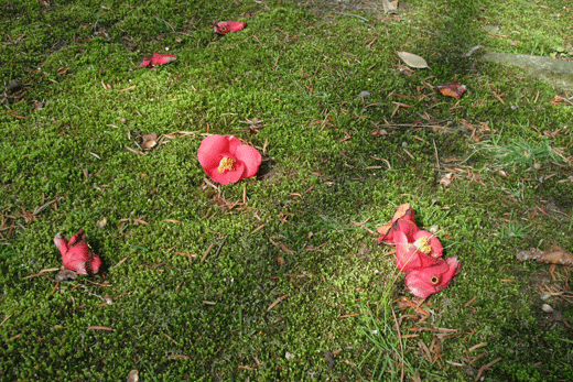 c0093046_23251427.gif