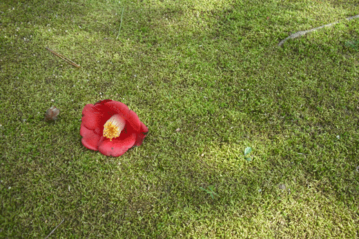 c0093046_23254585.gif