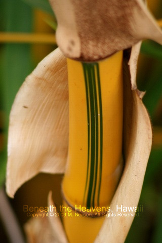 e0129046_9395760.jpg