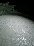 d0007957_2320291.jpg