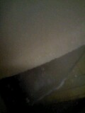 d0007957_232969.jpg