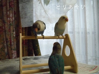 かくれんぼ_e0147757_0183338.jpg