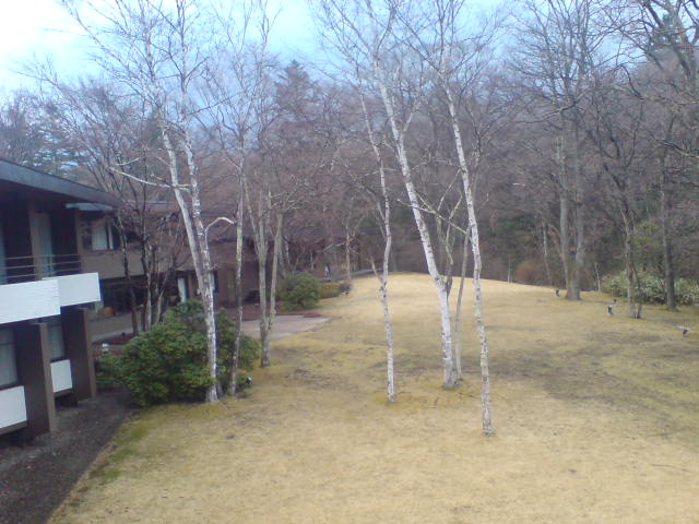 アササン_c0100865_6505899.jpg