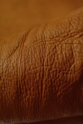 a0096367_21583419.jpg