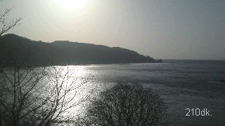 f0138073_15504890.jpg