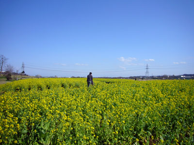 e0067674_1653223.jpg