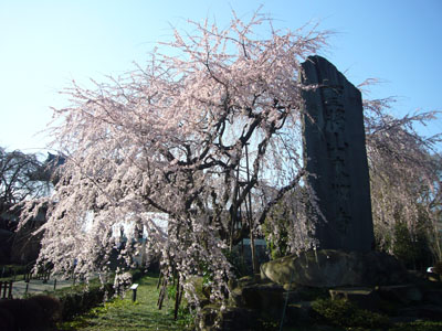 e0067674_16543065.jpg