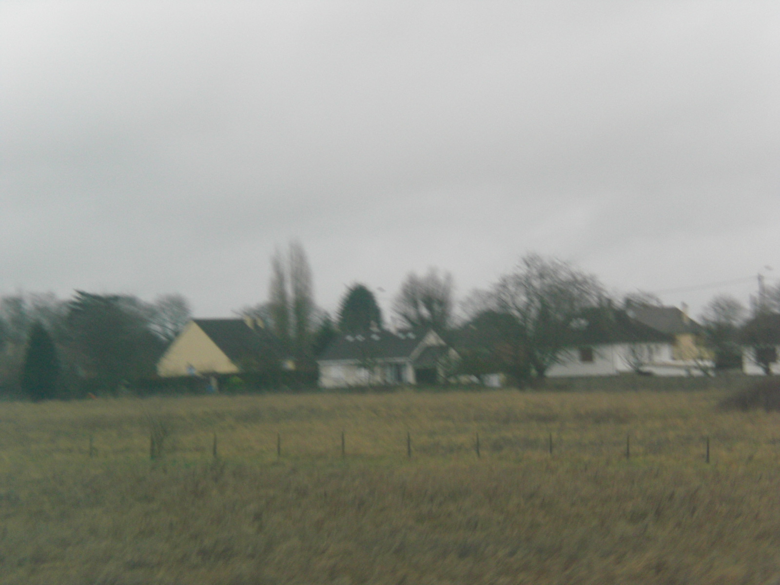 b0157276_1216751.jpg