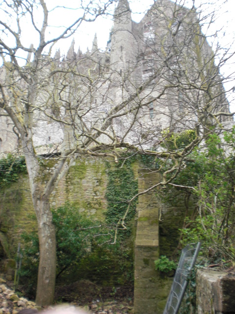 b0157276_1310313.jpg