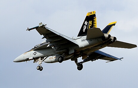 F/A18スーパーホーネット　ロイヤルメイセス　NF200_c0073377_226087.jpg