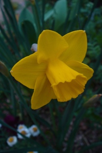 c0135480_0582849.jpg