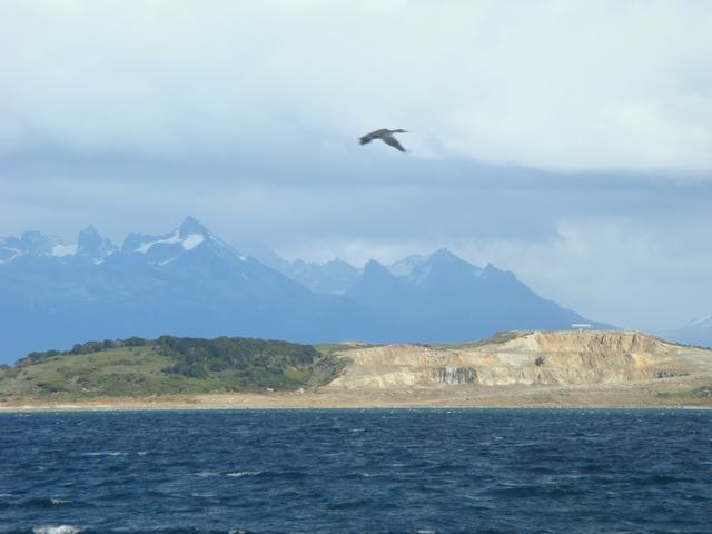 d0100880_559836.jpg