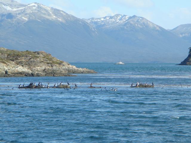 d0100880_611014.jpg