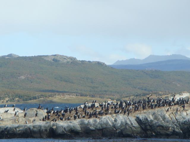 d0100880_625279.jpg