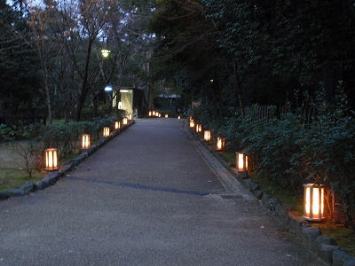 円山公園 ～東山花灯路編_c0105785_13545435.jpg