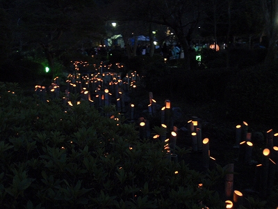 円山公園 ～東山花灯路編_c0105785_16402250.jpg