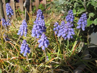 春分の日_a0091095_2235361.jpg
