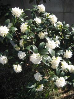 春分の日_a0091095_2241420.jpg
