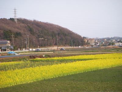 ☆うさぎ追いし彼の山、小ぶな釣りし彼の川☆_c0149195_20154620.jpg